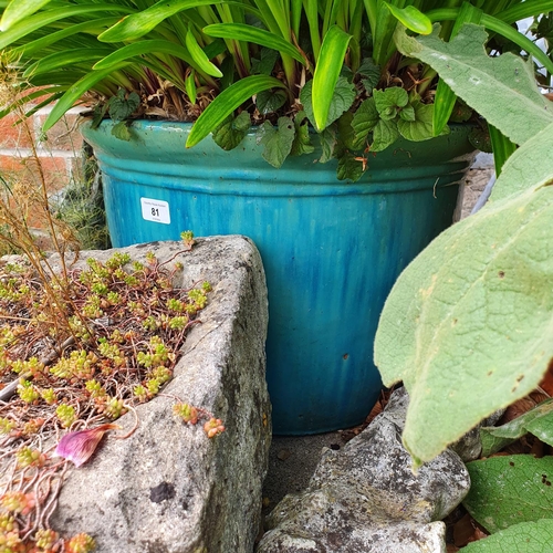 81 - A small stone trough, 30 cm wide, and a blue glazed garden pot, planted with agapanthus (2)