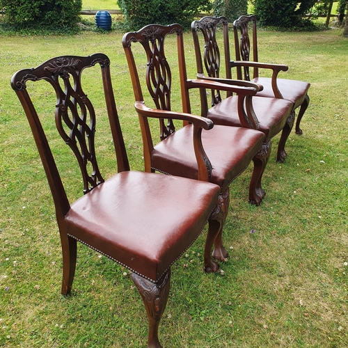 258 - A pair of George III style mahogany carver chairs, with pierced vase shaped splats, leather upholste... 