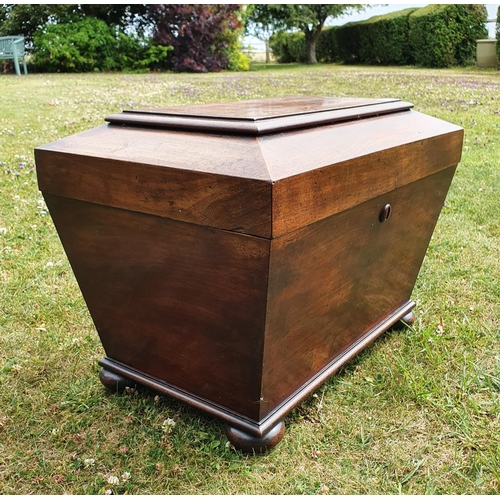 268 - An early 19th century mahogany wine cooler, of sarcophagus form, on bun feet, 59.5 cm wide