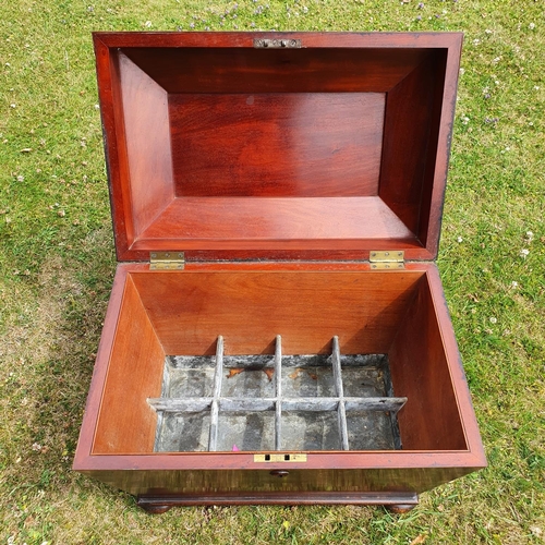 268 - An early 19th century mahogany wine cooler, of sarcophagus form, on bun feet, 59.5 cm wide