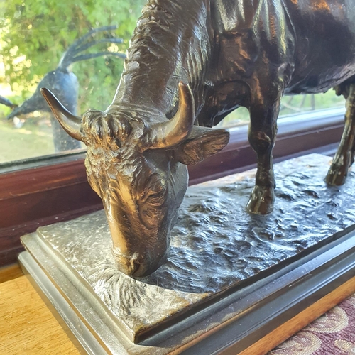 493 - A bronzed figure of a cow grazing, on a plinth base, 39 cm wide