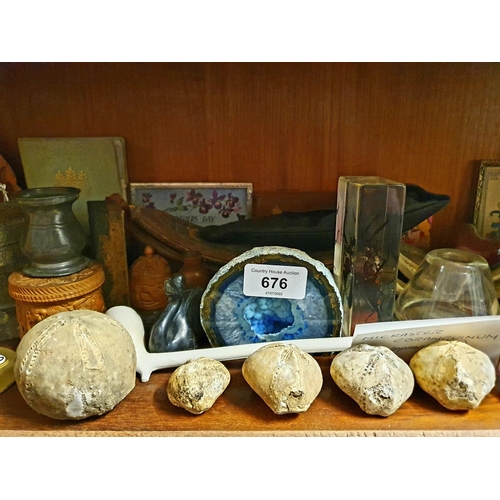 676 - A small geode, various fossils, and other items (third shelf down on the lounge unit)