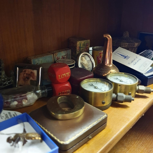 677 - Various shells, and other items (fourth shelf down on the lounge unit)