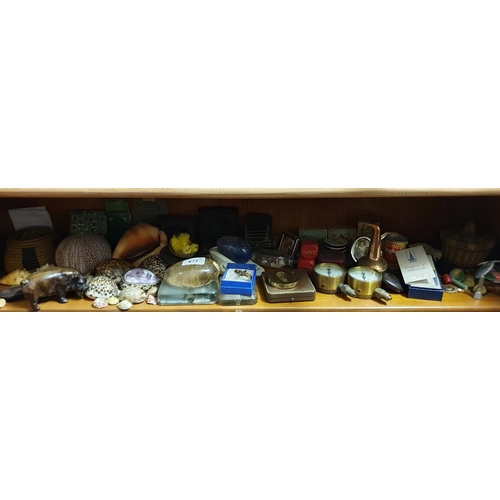 677 - Various shells, and other items (fourth shelf down on the lounge unit)