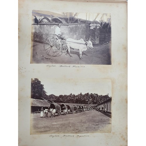 329 - An album of topographical and other photographs, including Government House, Madras, Black Town, Mad... 