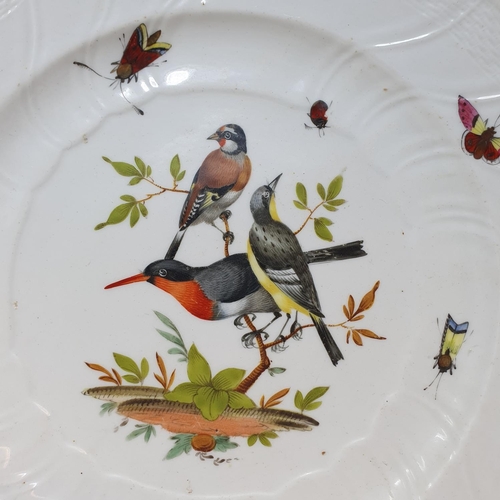 574 - A pair of 19th century Dresden plates, decorated birds and butterflies, 25 cm diameter (2)