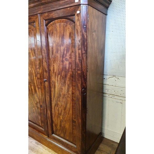 733 - A 19th century mahogany double wardrobe, 214 cm high x 148 cm wide