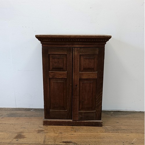 540 - A pine collectors cabinet, with two cupboard doors, to reveal a fitted interior, 53 cm wide