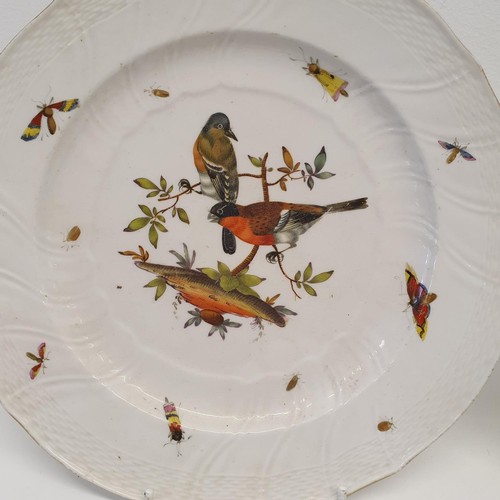 288 - A pair of 19th century Dresden plates, decorated birds and butterflies, 25 cm diameter (2)