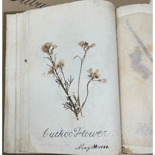 52 - An early 20th century scrapbook, filled with various pressed flowers and foliage, a sketch book, and... 