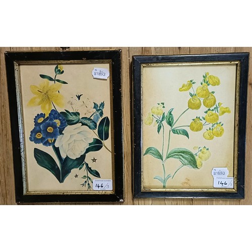 146 - P Butterfield, study of flowers, watercolour, signed, 35 x 33 cm and a similar pair of watercolours,... 