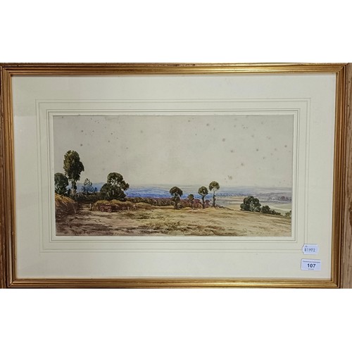 107 - David Neave, landscape, watercolour, signed, 34 x 37 cm, Swan Gallery label verso