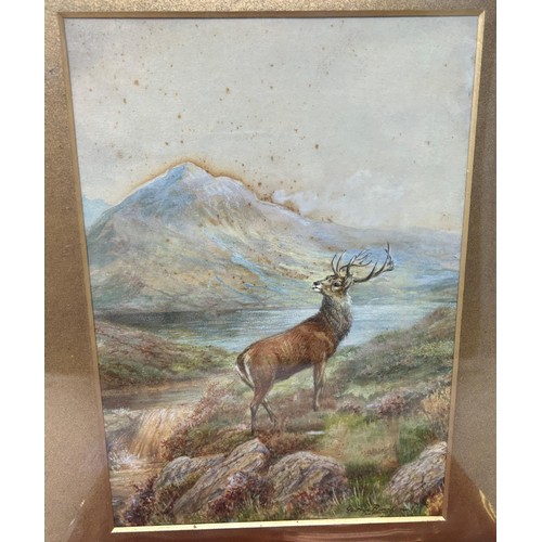 249 - George Rankin, study of a deer, watercolour, 26 x 18 cm, and The Memories Of The Life Of The Late Jo... 