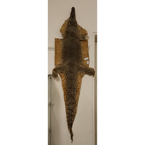 233 - Taxidermy: A crocodile skin, 125 cm