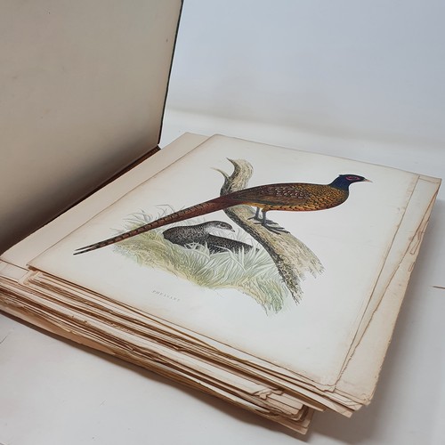 20 - Morris, British Game Birds And Wildflowers, pages loose, lacking frontispiece, and assorted (box)