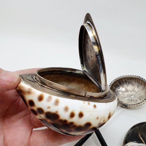 626 - A Scottish horn snuff mull, with a silver mount, a shell, converted to a box, with silver coloured m... 