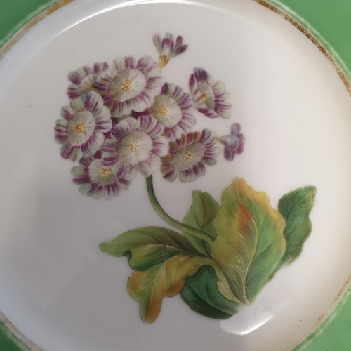 1167 - A 19th century porcelain botanical part dessert service, comprising four comports and six plates