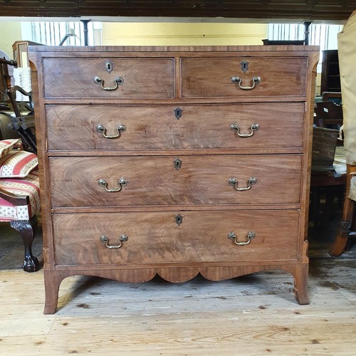 1240 - A 19th century mahogany chest, having two short and three long drawers, 106 cm wide