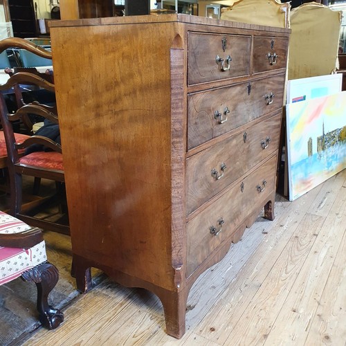 1240 - A 19th century mahogany chest, having two short and three long drawers, 106 cm wide