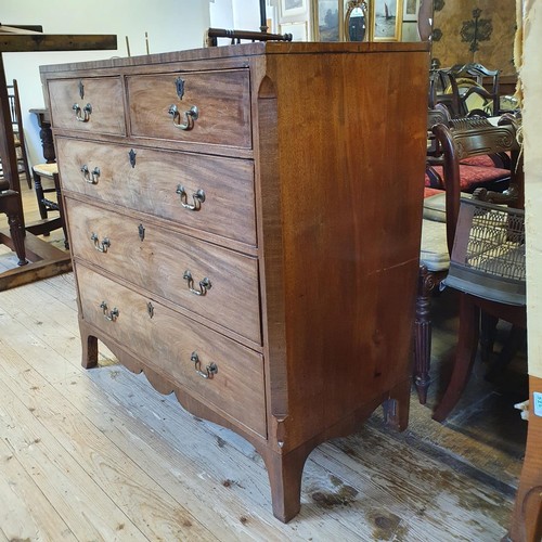 1240 - A 19th century mahogany chest, having two short and three long drawers, 106 cm wide