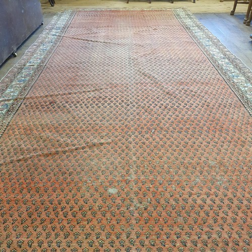 1213 - A Persian red ground carpet, 428 x 186 cm