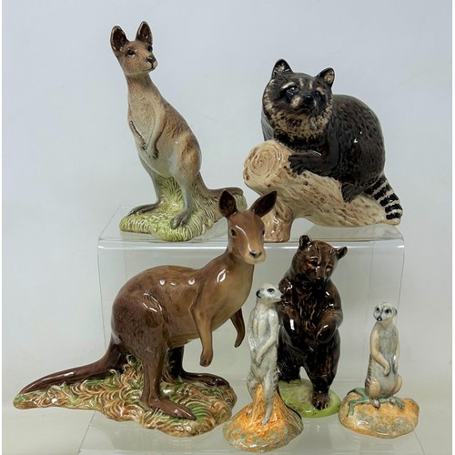 794 - A Beswick kangaroo, 15 cm high, another, two meercats, a bear, and a racoon (6)