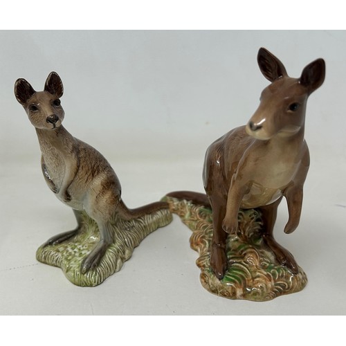 794 - A Beswick kangaroo, 15 cm high, another, two meercats, a bear, and a racoon (6)