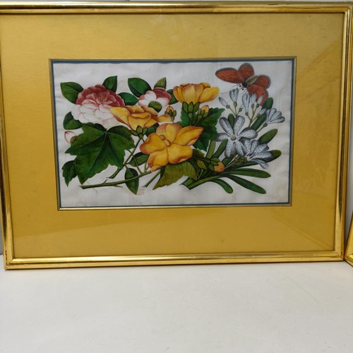 605 - A pair of Chinese pith paper pictures, decorated flowers and butterflies, 19 x 30 cm (2)