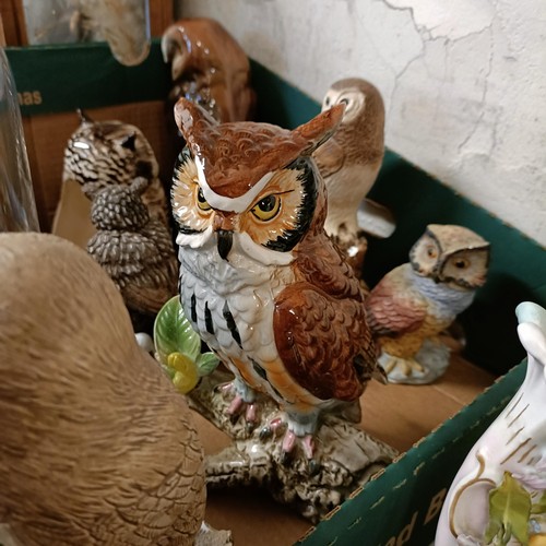 640 - A figure, of an owl, under a glass dome, and assorted other owl figures (box)