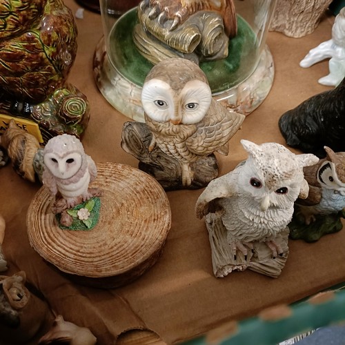 640 - A figure, of an owl, under a glass dome, and assorted other owl figures (box)