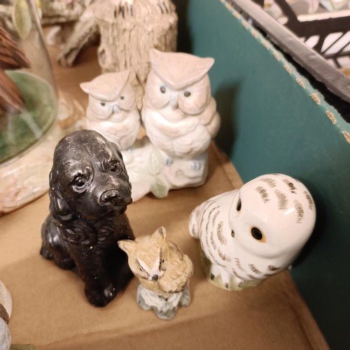 640 - A figure, of an owl, under a glass dome, and assorted other owl figures (box)