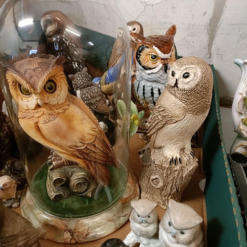 640 - A figure, of an owl, under a glass dome, and assorted other owl figures (box)