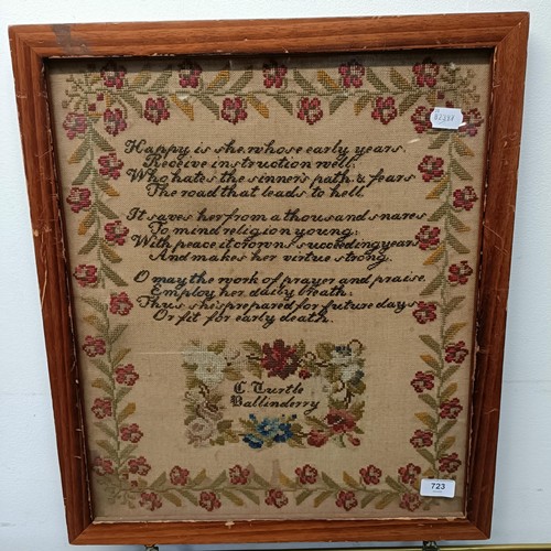 723 - A 19th century sampler, by C Castle Ballinderry, 50 x 43 cm