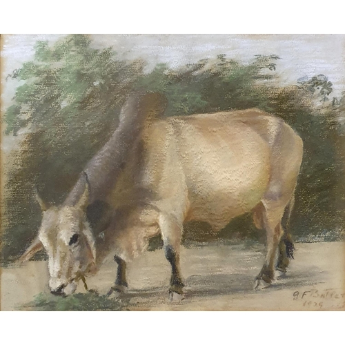 253 - The Hon Mrs Robert Butler, An Indian Bull, chalk, signed and dated 1925, 22 x 27 cm, verso certifica... 