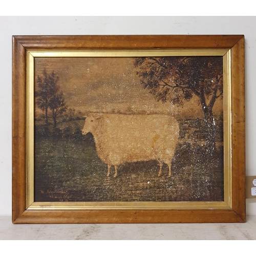 297 - An oleograph, of a sheep, 37 x 50 cm