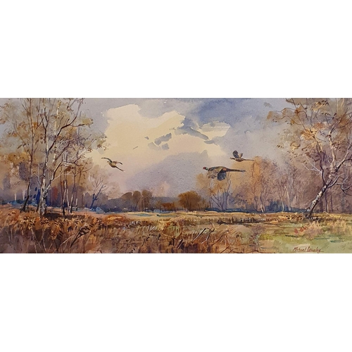 299 - Michael Crawley, pheasants in flight, watercolour, signed, 23 x 52 cm
Note: Michael Crawley was an a... 