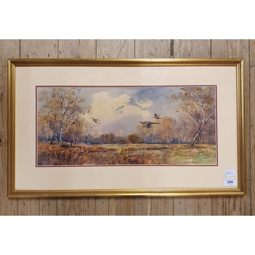 299 - Michael Crawley, pheasants in flight, watercolour, signed, 23 x 52 cm
Note: Michael Crawley was an a... 