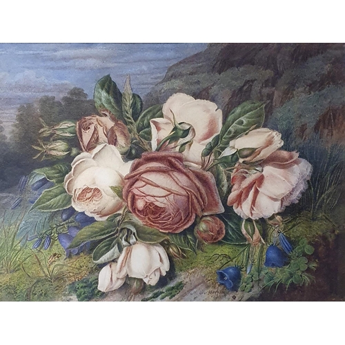 300 - Early 20th century, English school, still life of roses, gouache, 28 x 38 cm