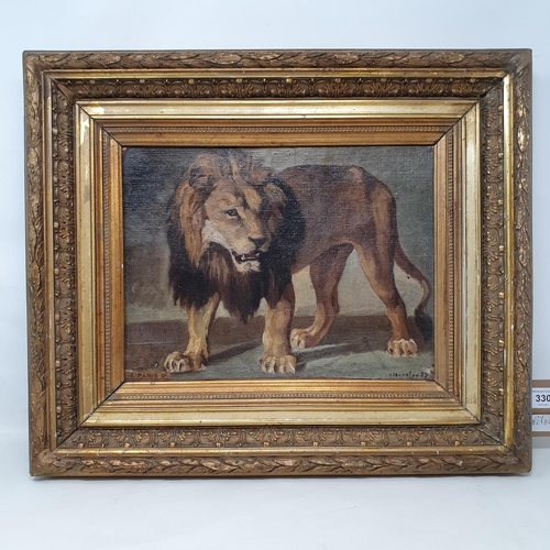 330 - 19th century, Continental school, study of a lion, signature indistinct, oil on canvas, 25 x 32 cm