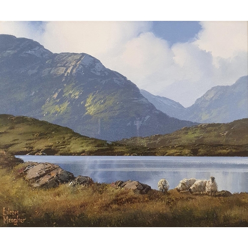 348 - Eileen Meagher (Irish b 1946) Sheep On Roundstone Bay, Connemara, 2005, oil on canvas, signed, 25 x ... 