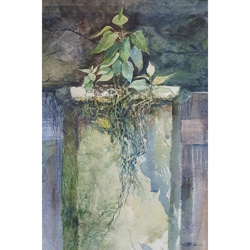 360 - O Singh Chai (Malaysian), study of a plant on a ruin, watercolour, initialed and dated '81, 53 x 38 ... 