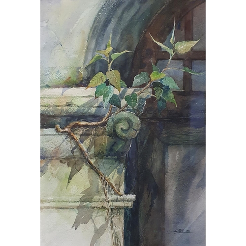 360 - O Singh Chai (Malaysian), study of a plant on a ruin, watercolour, initialed and dated '81, 53 x 38 ... 