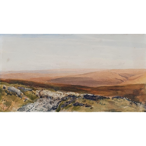 381 - T Collier, landscape, watercolour, signed and dated 1871, 23 x 35 cm, and another 20 x 36 cm