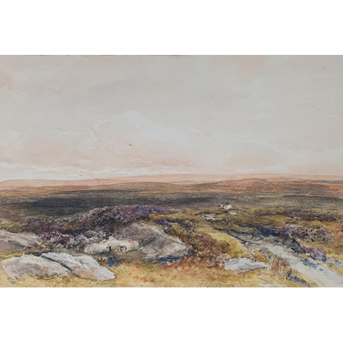 381 - T Collier, landscape, watercolour, signed and dated 1871, 23 x 35 cm, and another 20 x 36 cm