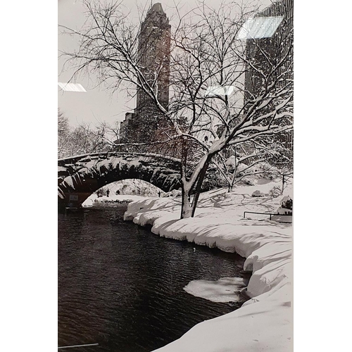 306A - Alfred Eisenstaedt (American/German 1898-1995), Central Park After A Snowstorm, New York, 1959, limi... 