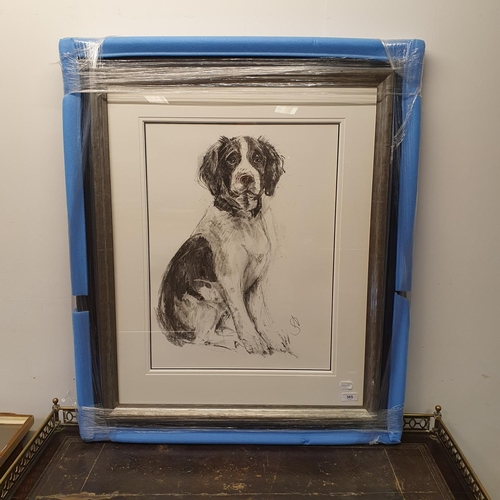 365 - April Shepherd, study of a spaniel, charcoal, signed, 60 x 44 cm, gallery label verso