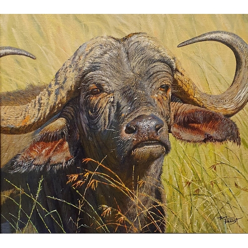 387 - Tony Forrest (British b 1961), Cape Buffalo, oil on canvas, signed, 45 x 49 cm, artist label verso N... 