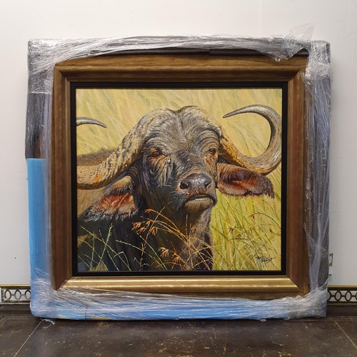 387 - Tony Forrest (British b 1961), Cape Buffalo, oil on canvas, signed, 45 x 49 cm, artist label verso N... 