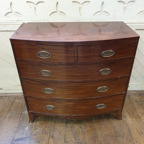 882 - A mahogany bow front chest, having two short and three long drawers, 110 cm wide