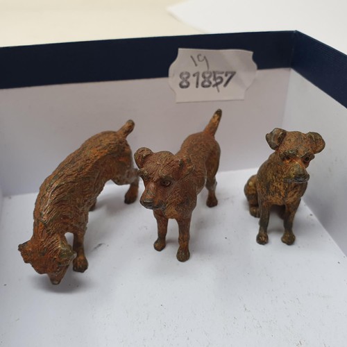 138 - A set of three Bergman style cold painted bronze terriers, the tallest 4 cm high (3)